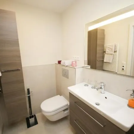 公寓 Hansa Lounge 20 *