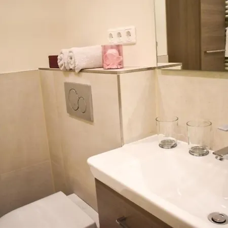 公寓 Hansa Lounge 20